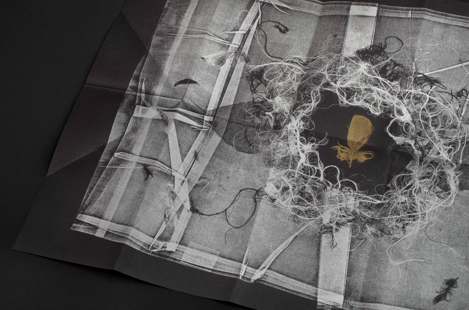 The Dark Self: Susan Aldworth 5